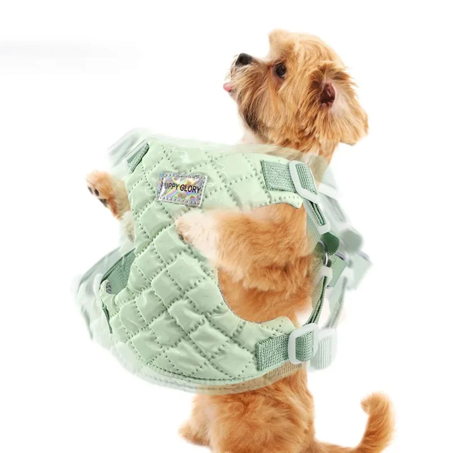 Waterproof Adjustable  Harness for  Small Medium Dogs