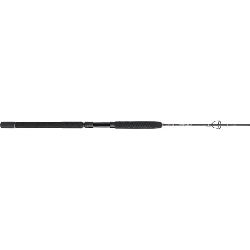 Spinning Fishing Rod