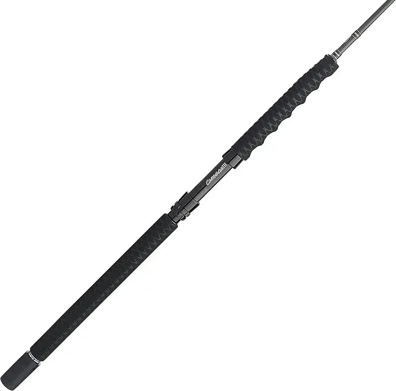 Spinning Fishing Rod