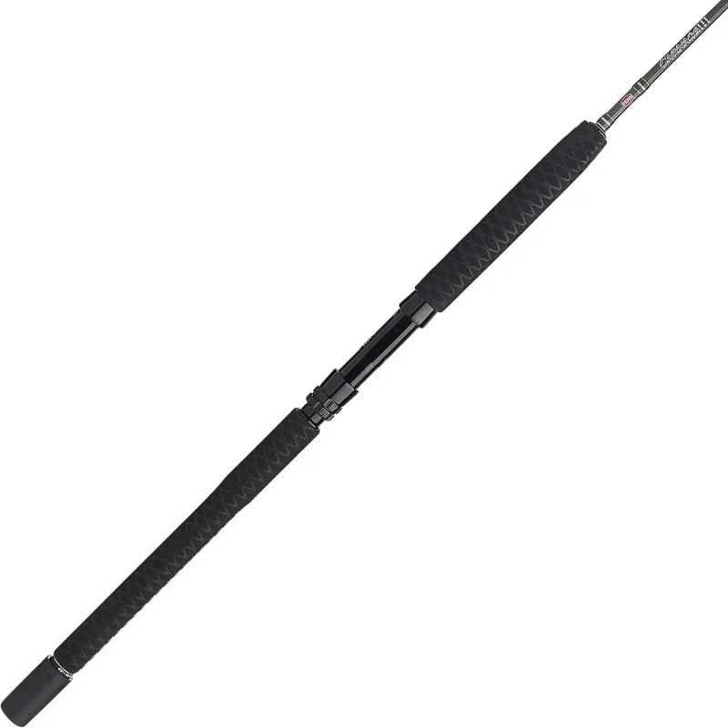 Spinning Fishing Rod