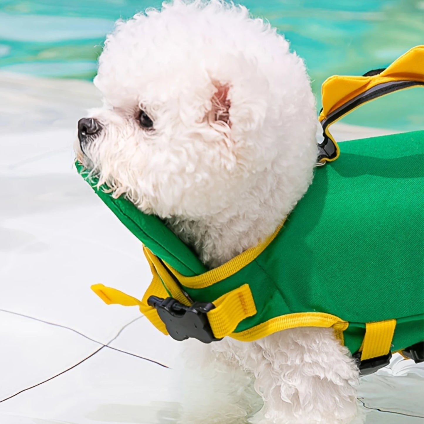 Dog Life Jacket Universal Summer Swimsuit